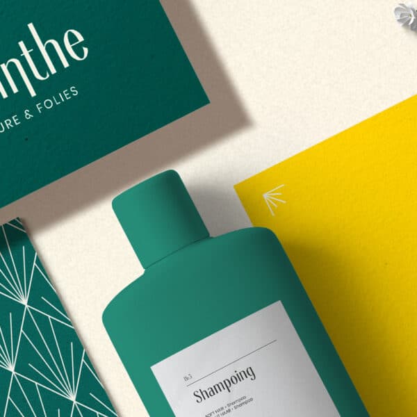 Page projet Absinthe : création de l'identité visuelle