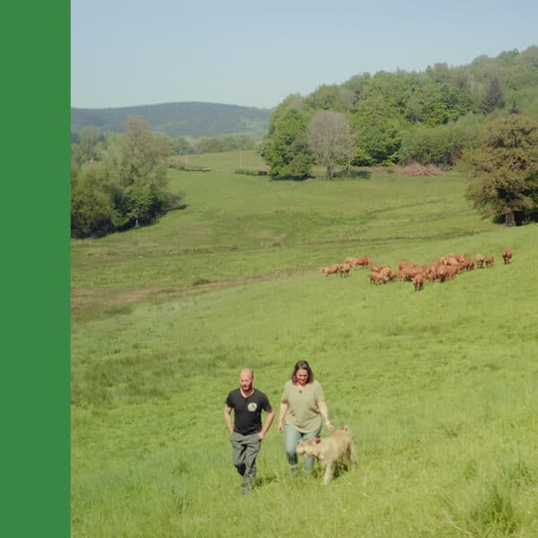 Nouveau projet : Sourire de Campagne