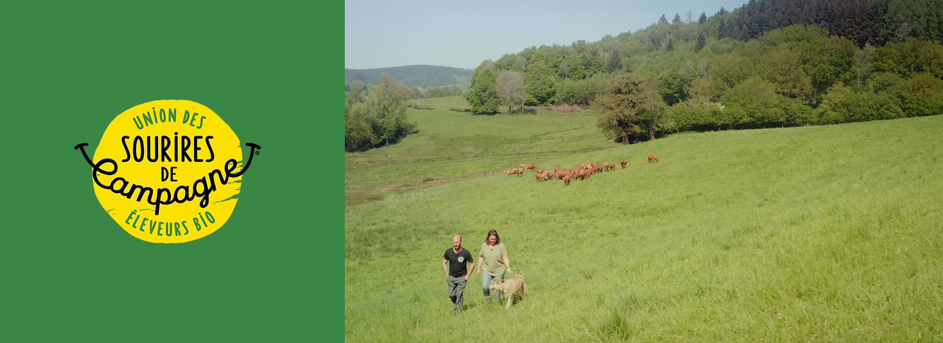 Nouveau projet : Sourire de Campagne